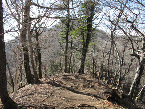 20161206hike (205)